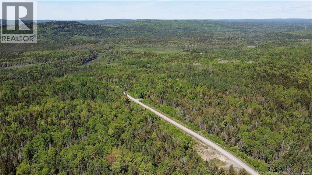 Lot 24 Misty Mountain Lane, Elmsville, New Brunswick E5C 0E5 - Photo 21 - NB142270