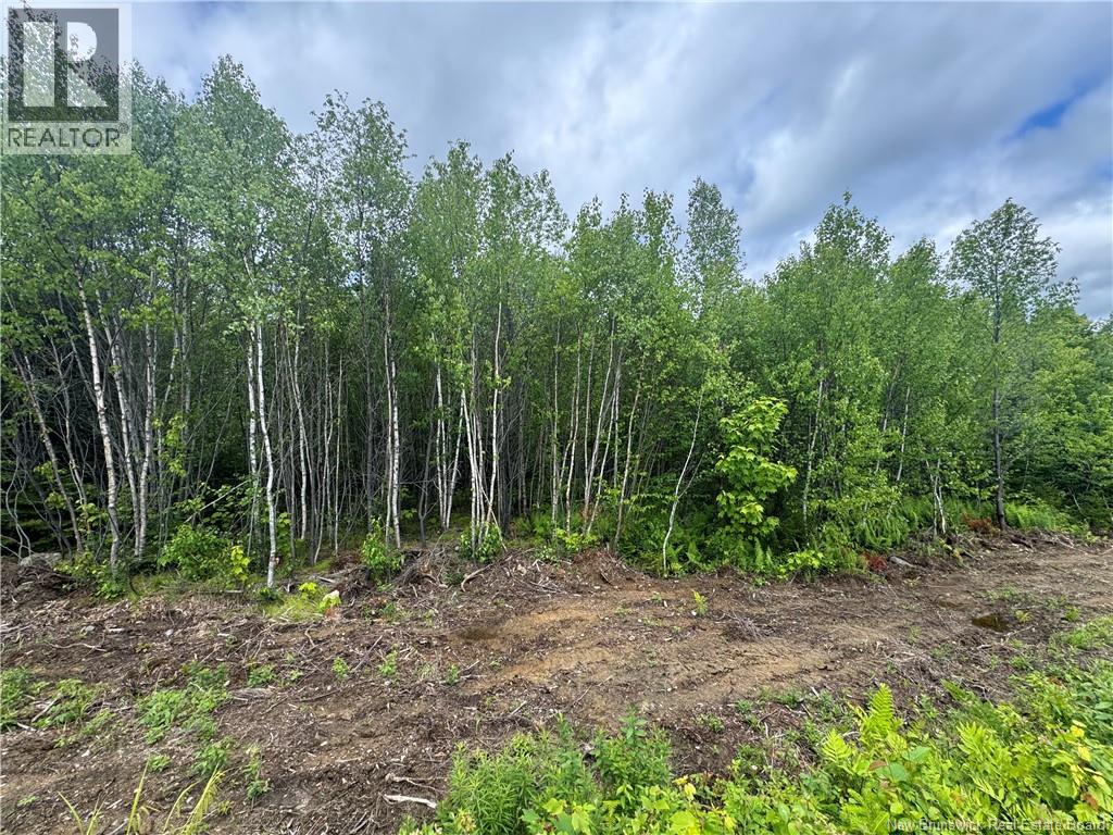 Lot 24 Misty Mountain Road, Elmsville, New Brunswick  E5C 0E5 - Photo 27 - NB142270