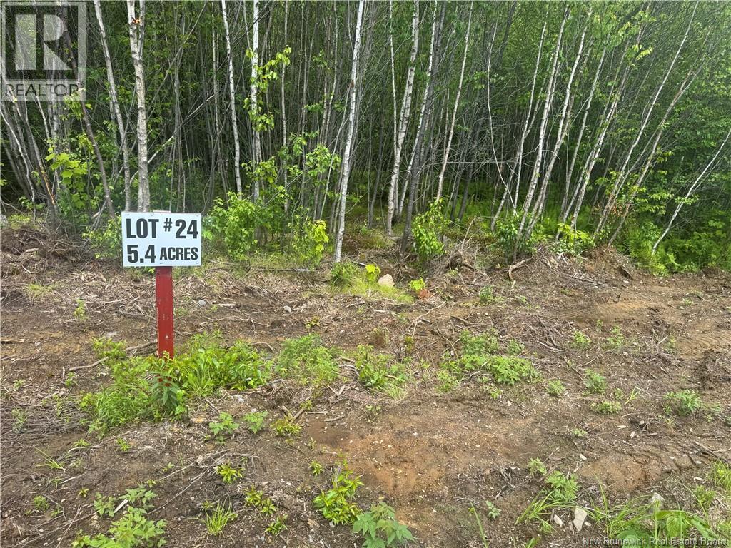 Lot 24 Misty Mountain Road, Elmsville, New Brunswick  E5C 0E5 - Photo 28 - NB142270