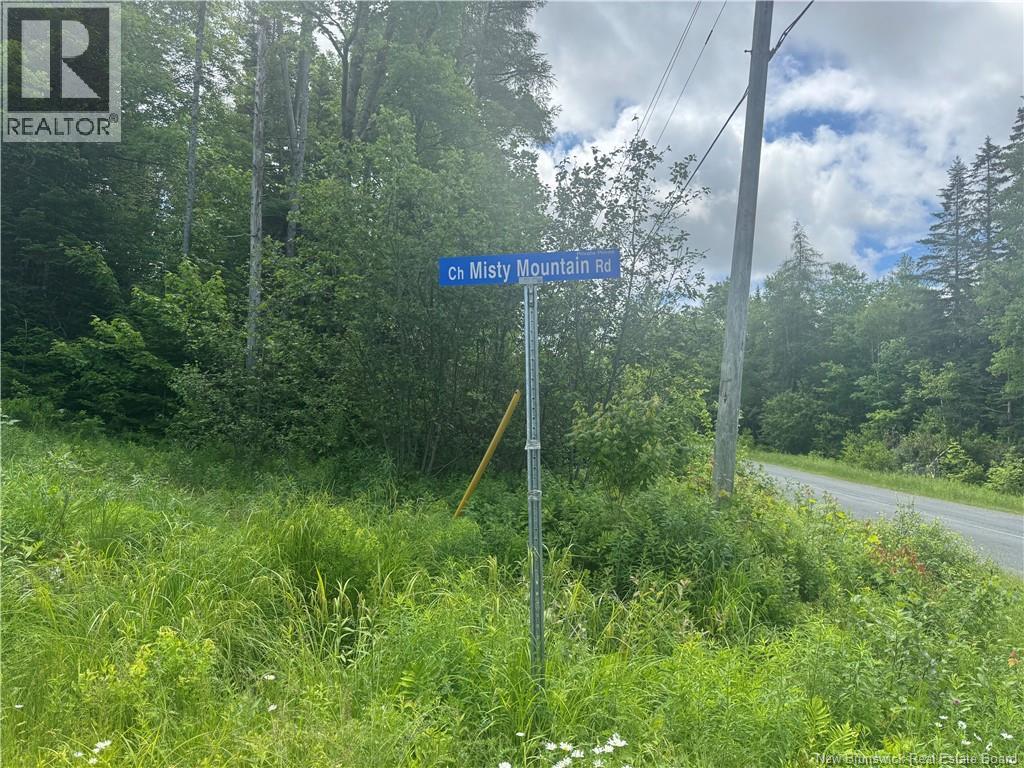 Lot 24 Misty Mountain Road, Elmsville, New Brunswick  E5C 0E5 - Photo 29 - NB142270
