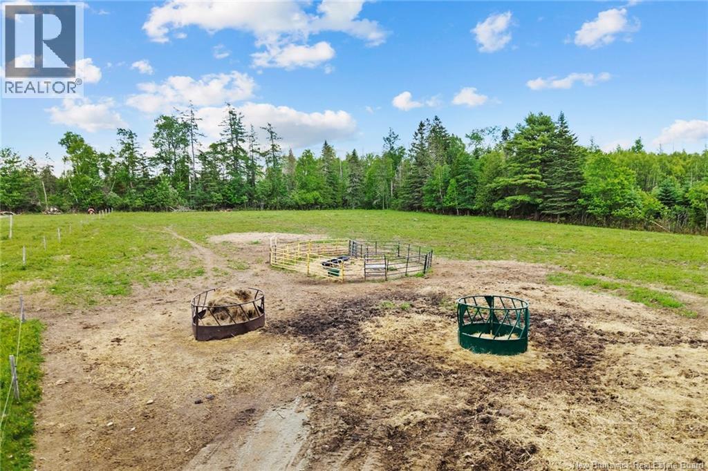 99 Route 755, Honeydale, New Brunswick  E5A 1P4 - Photo 5 - NB142353