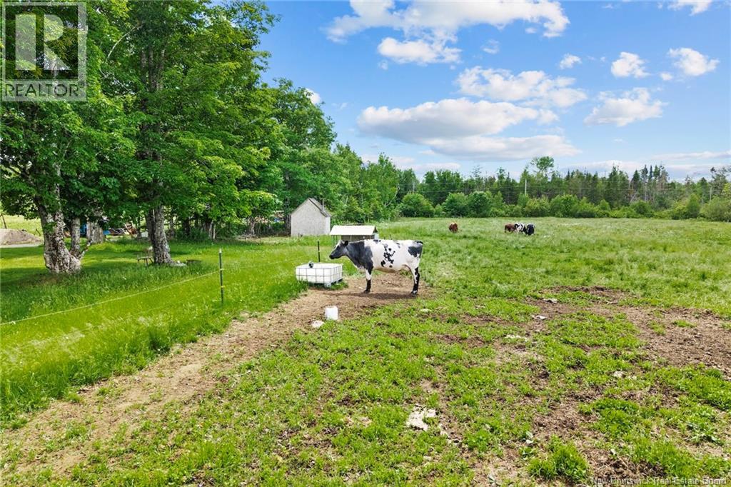 99 Route 755, Honeydale, New Brunswick  E5A 1P4 - Photo 7 - NB142353