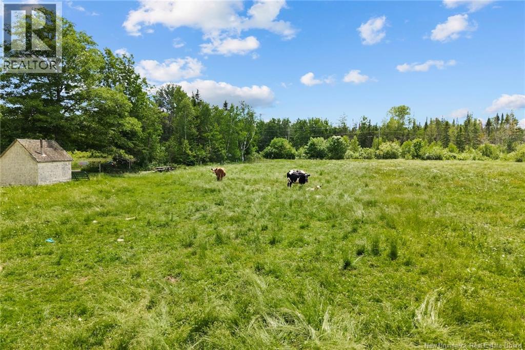 99 Route 755, Honeydale, New Brunswick  E5A 1P4 - Photo 8 - NB142353