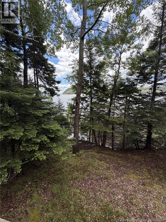 00 Champlain Drive, Dufferin, New Brunswick  E3L 3S1 - Photo 9 - NB142448
