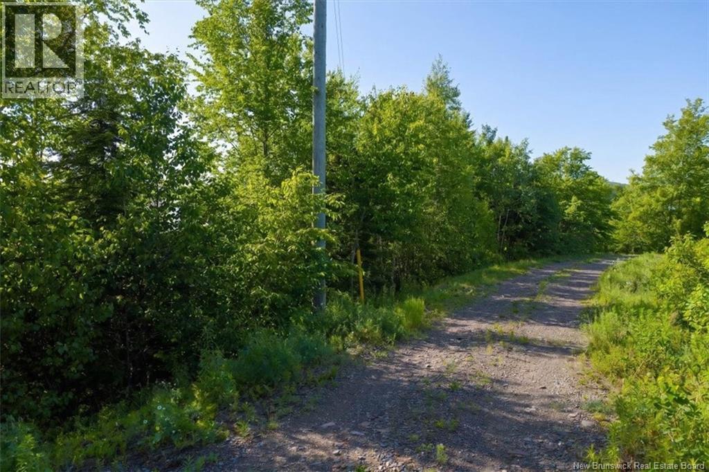 Lot 20-7 Bluff Loop Road, Utopia, New Brunswick E5C 0J4 - Photo 14 - NB142480