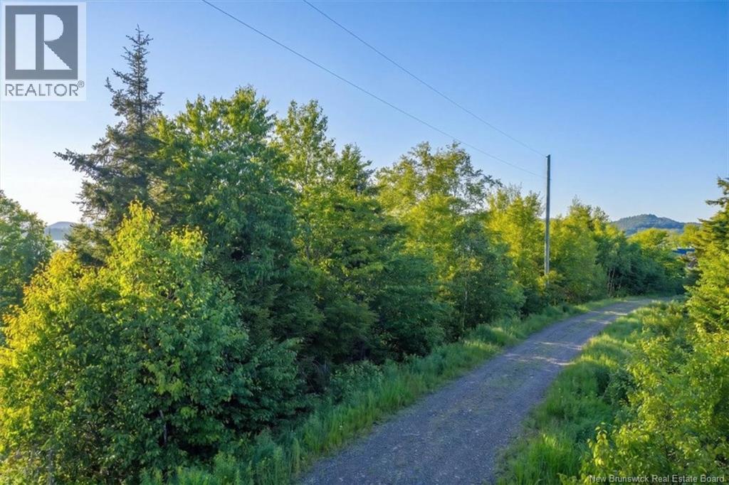 Lot 20-7 Bluff Loop Road, Utopia, New Brunswick E5C 0J4 - Photo 15 - NB142480