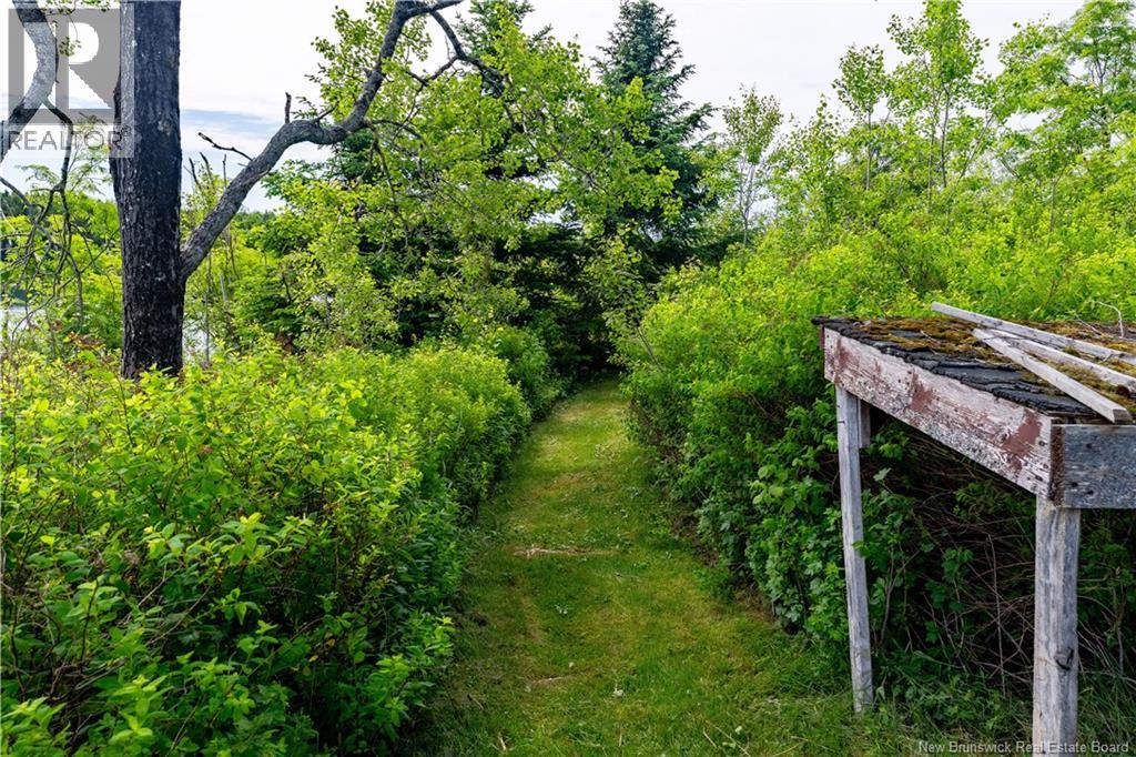 23 Leavitts Head Cemetery Road, Back Bay, New Brunswick  E5C 1Z5 - Photo 13 - NB142144