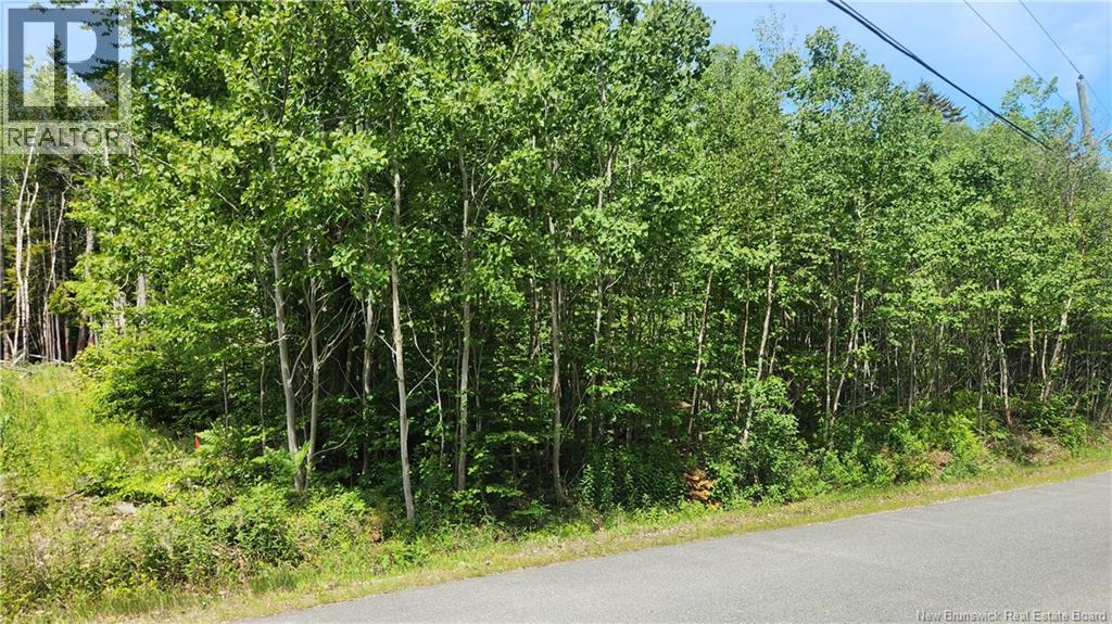 134 Highland Road, Grand Bay-Westfield, New Brunswick  E5K 1H8 - Photo 2 - NB142577