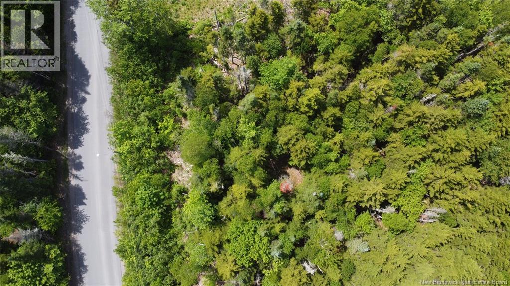 134 Highland Road, Grand Bay-Westfield, New Brunswick  E5K 1H8 - Photo 6 - NB142577