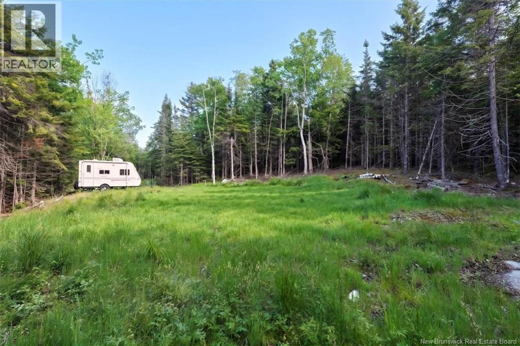 / Chamcook #3 Road, Bayside, New Brunswick E5B 2X4 - Photo 12 - NB142470