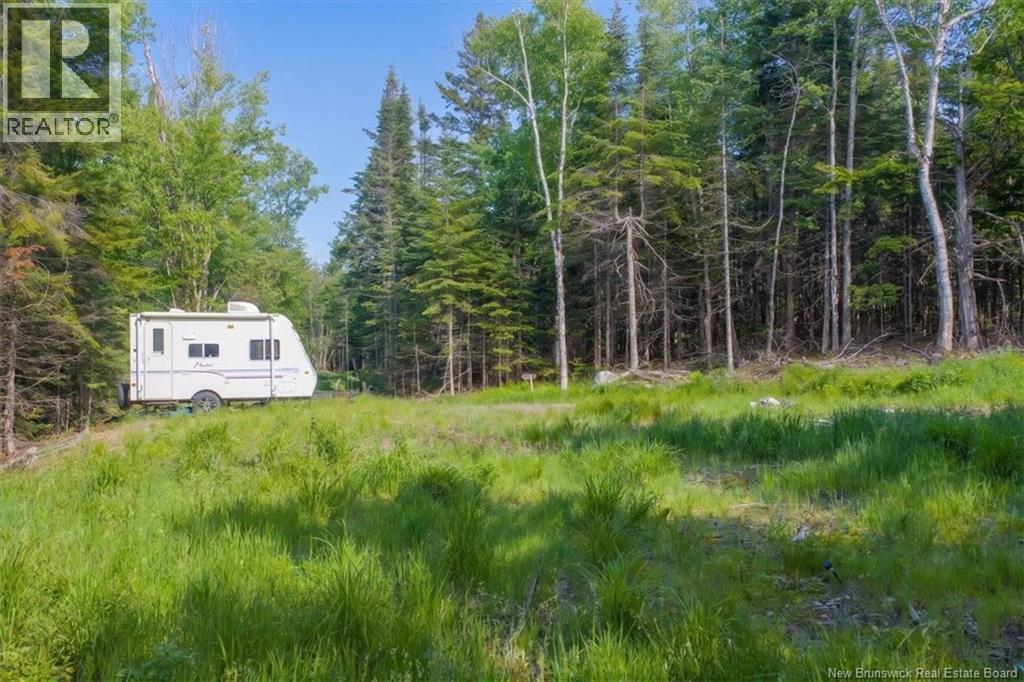 / Chamcook #3 Road, Bayside, New Brunswick E5B 2X4 - Photo 13 - NB142470