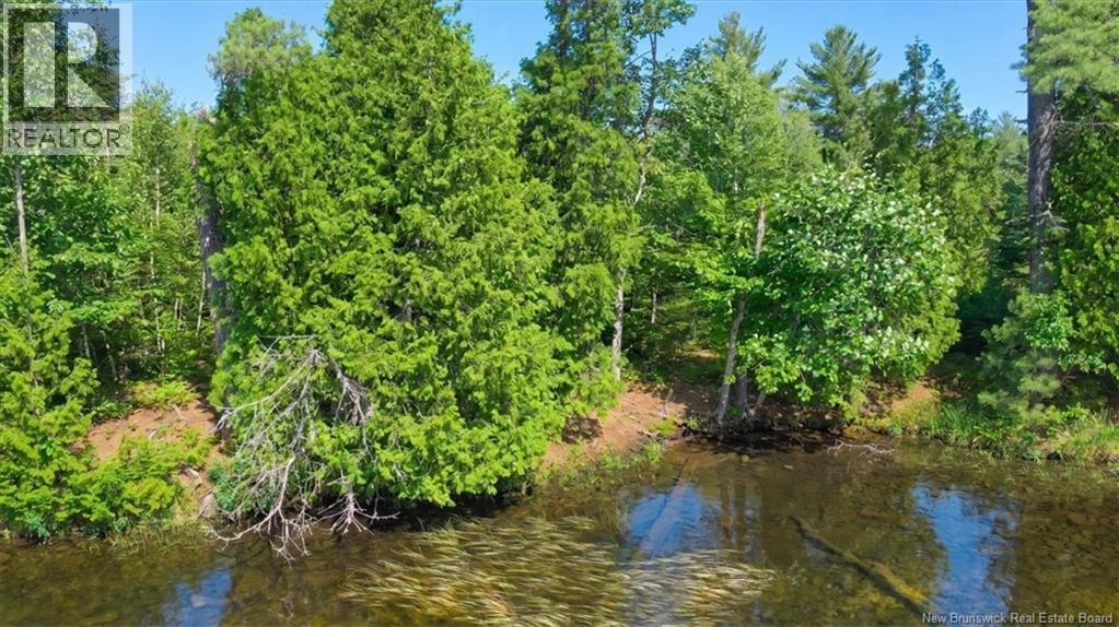 / Chamcook #3 Road, Bayside, New Brunswick E5B 2X4 - Photo 20 - NB142470