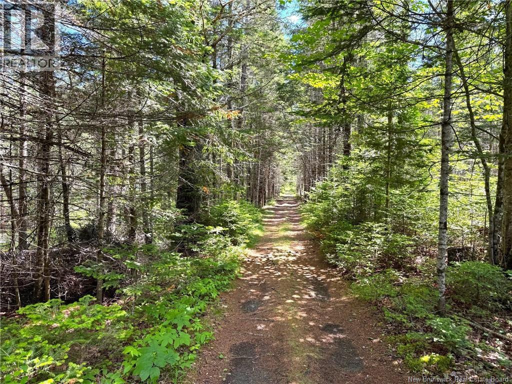 Route 760, Rollingdam, New Brunswick  E5A 2X4 - Photo 11 - NB142388