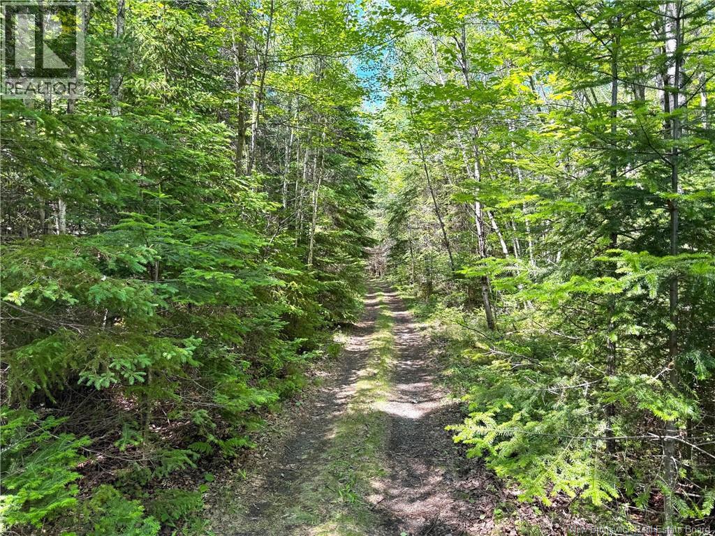 Route 760, Rollingdam, New Brunswick  E5A 2X4 - Photo 12 - NB142388