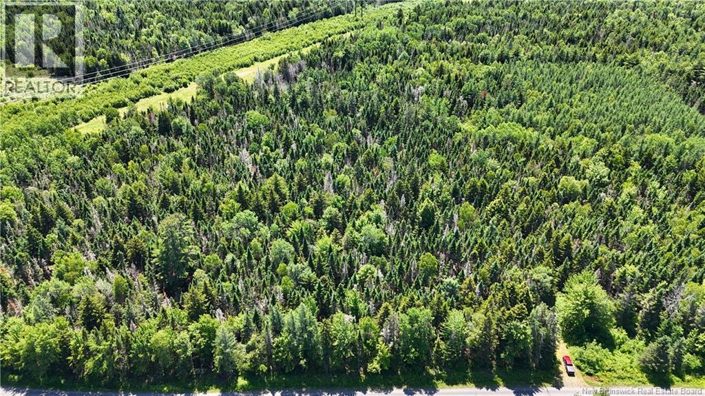 Route 760, Rollingdam, New Brunswick  E5A 2X4 - Photo 14 - NB142388
