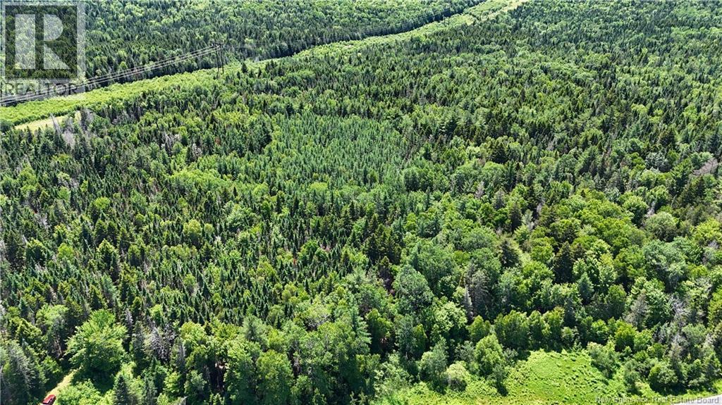 Route 760, Rollingdam, New Brunswick  E5A 2X4 - Photo 15 - NB142388