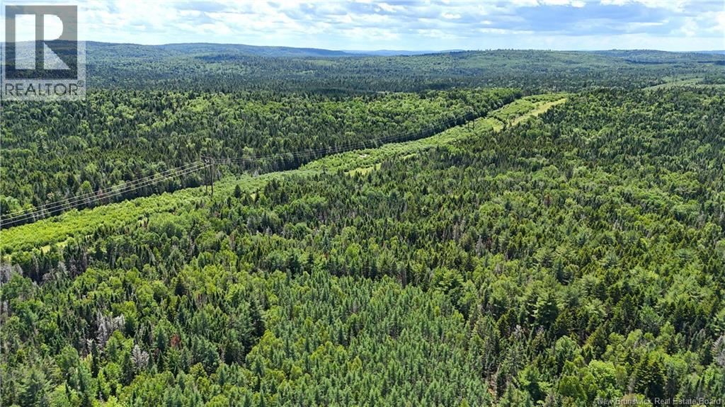 Route 760, Rollingdam, New Brunswick  E5A 2X4 - Photo 16 - NB142388