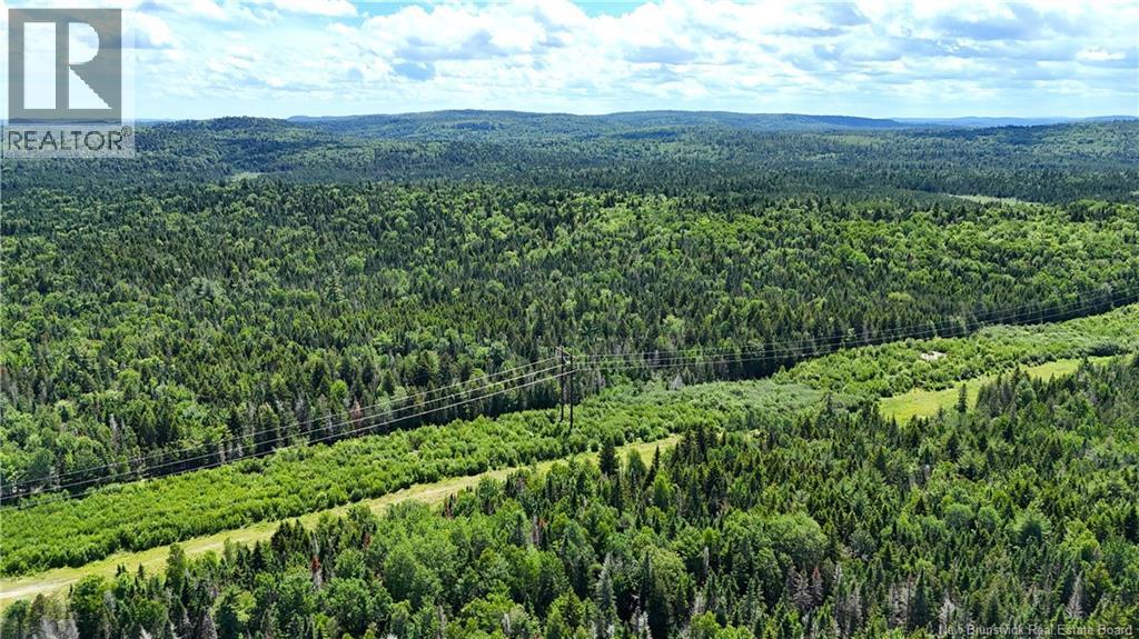 Route 760, Rollingdam, New Brunswick  E5A 2X4 - Photo 18 - NB142388