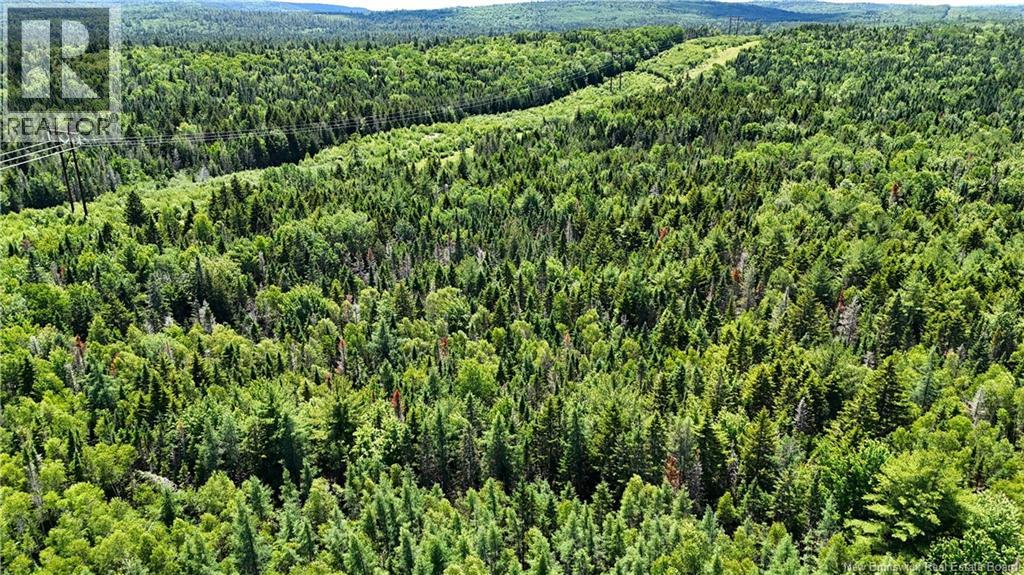 Route 760, Rollingdam, New Brunswick  E5A 2X4 - Photo 19 - NB142388