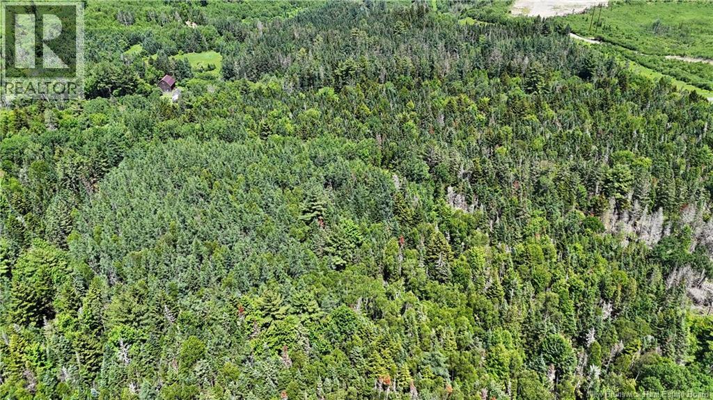 Route 760, Rollingdam, New Brunswick  E5A 2X4 - Photo 22 - NB142388