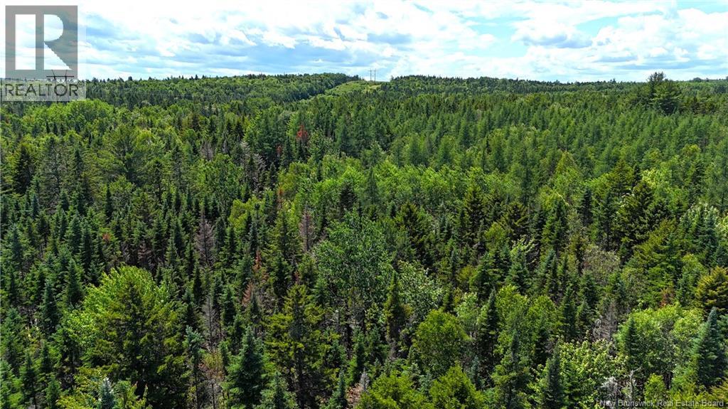Route 760, Rollingdam, New Brunswick  E5A 2X4 - Photo 23 - NB142388