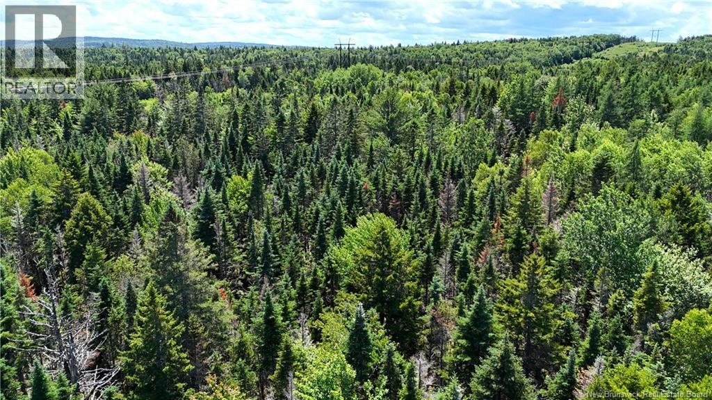Route 760, Rollingdam, New Brunswick  E5A 2X4 - Photo 24 - NB142388