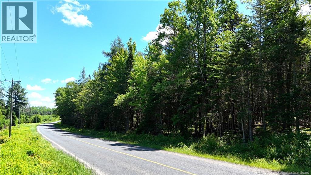 Route 760, Rollingdam, New Brunswick  E5A 2X4 - Photo 5 - NB142388