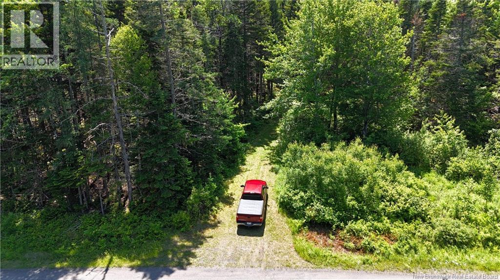 Route 760, Rollingdam, New Brunswick  E5A 2X4 - Photo 8 - NB142388