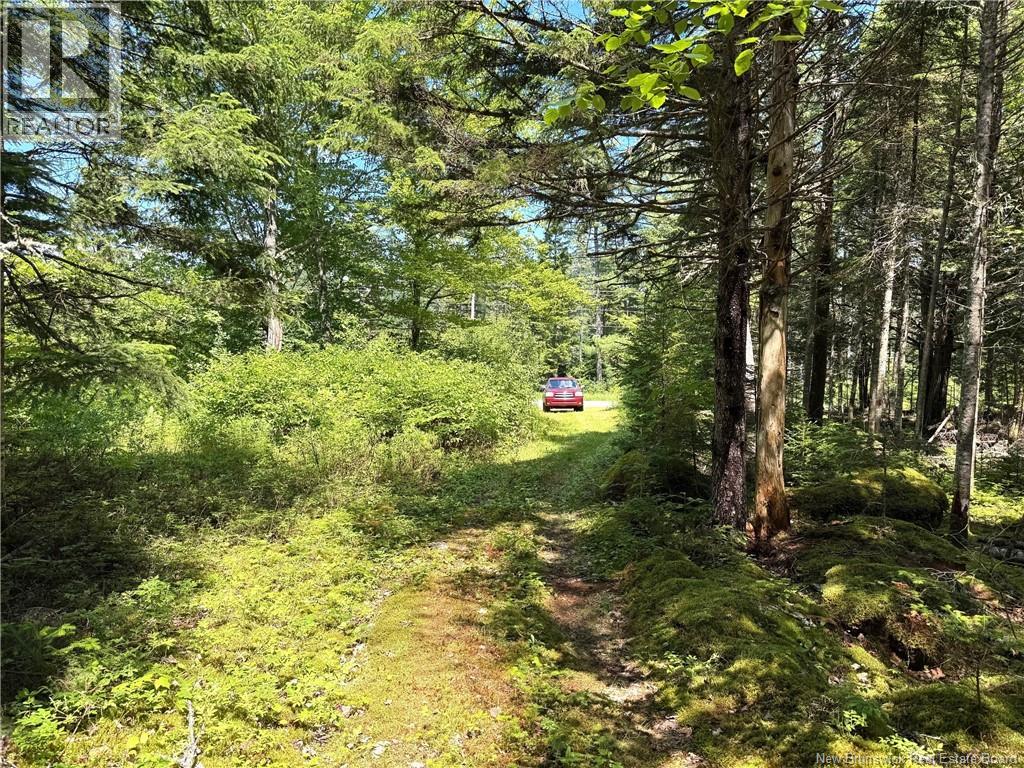 Route 760, Rollingdam, New Brunswick  E5A 2X4 - Photo 9 - NB142388