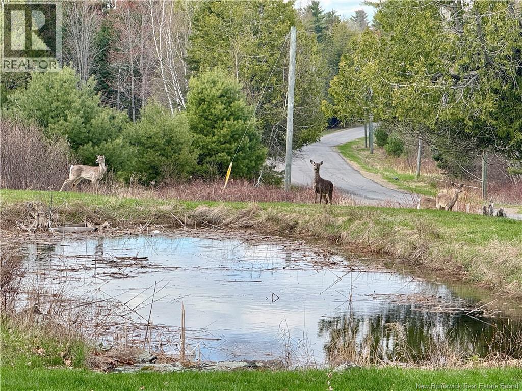 164 Gore Road, Fredericton Junction, New Brunswick  E5L 1T9 - Photo 37 - NB142953