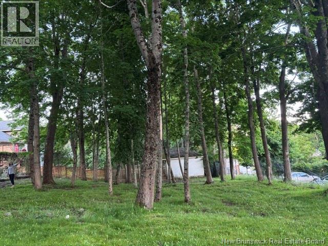Lot Edward Street, Saint Andrews, New Brunswick  E5B 1N2 - Photo 3 - NB143004