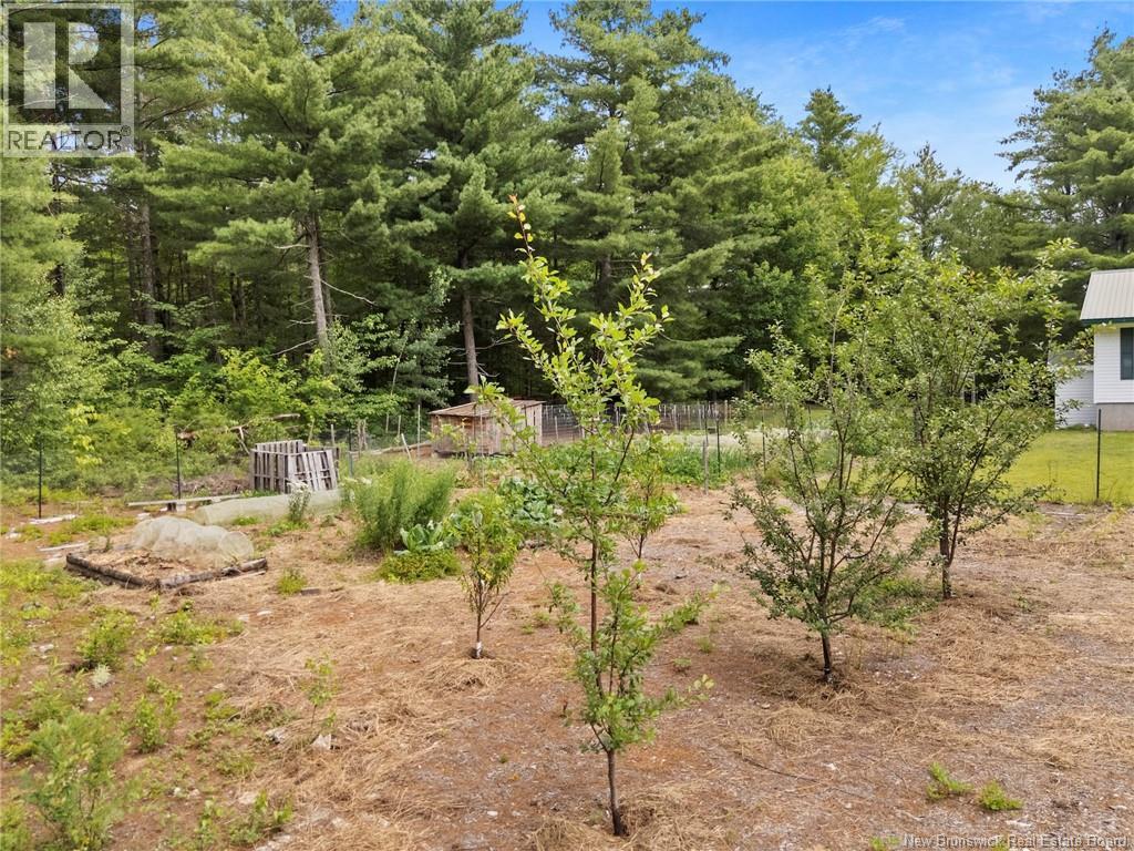 3422 Route 101, Tracyville, New Brunswick  E5L 1P2 - Photo 40 - NB143065