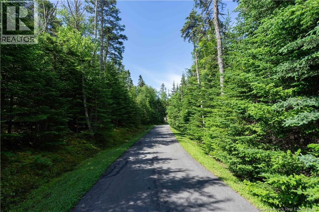 87 Haggertys Cove Road, New River Beach, New Brunswick  E5J 1J9 - Photo 48 - NB143036