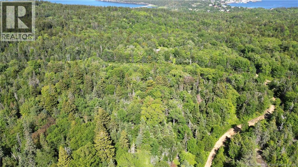 Land Stanley Brook, Grand Manan, New Brunswick  E5G 1L8 - Photo 10 - NB143148