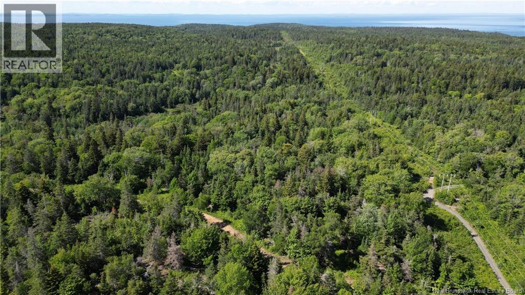 Land Stanley Brook, Grand Manan, New Brunswick  E5G 1L8 - Photo 11 - NB143148