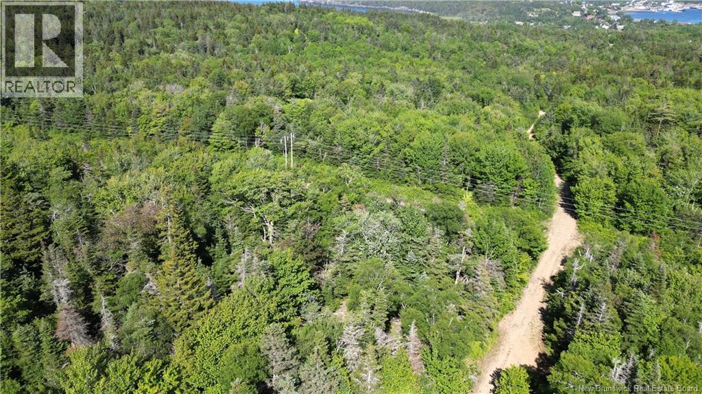 Land Stanley Brook, Grand Manan, New Brunswick  E5G 1L8 - Photo 12 - NB143148