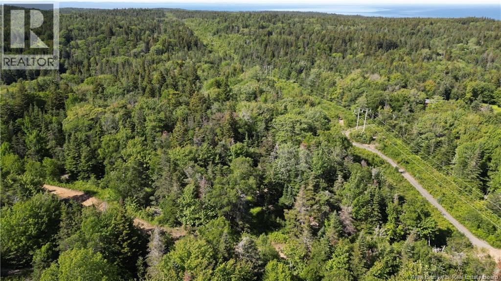 Land Stanley Brook, Grand Manan, New Brunswick  E5G 1L8 - Photo 13 - NB143148