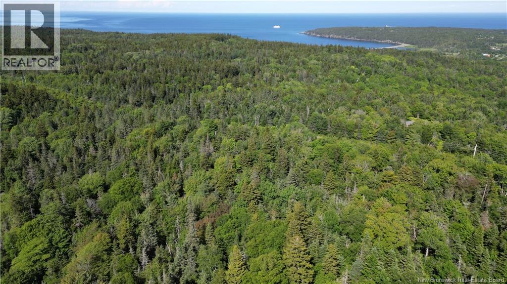 Land Stanley Brook, Grand Manan, New Brunswick  E5G 1L8 - Photo 3 - NB143148