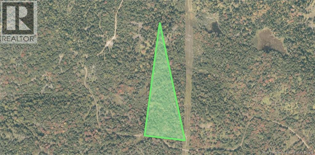 Land Stanley Brook, Grand Manan, New Brunswick  E5G 1L8 - Photo 4 - NB143148