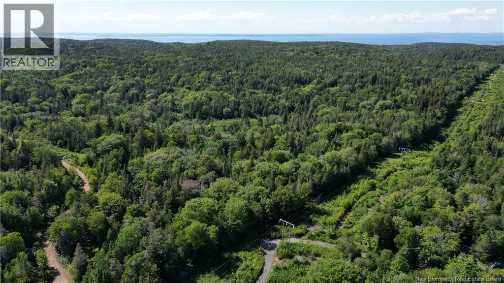 Land Stanley Brook, Grand Manan, New Brunswick  E5G 1L8 - Photo 5 - NB143148