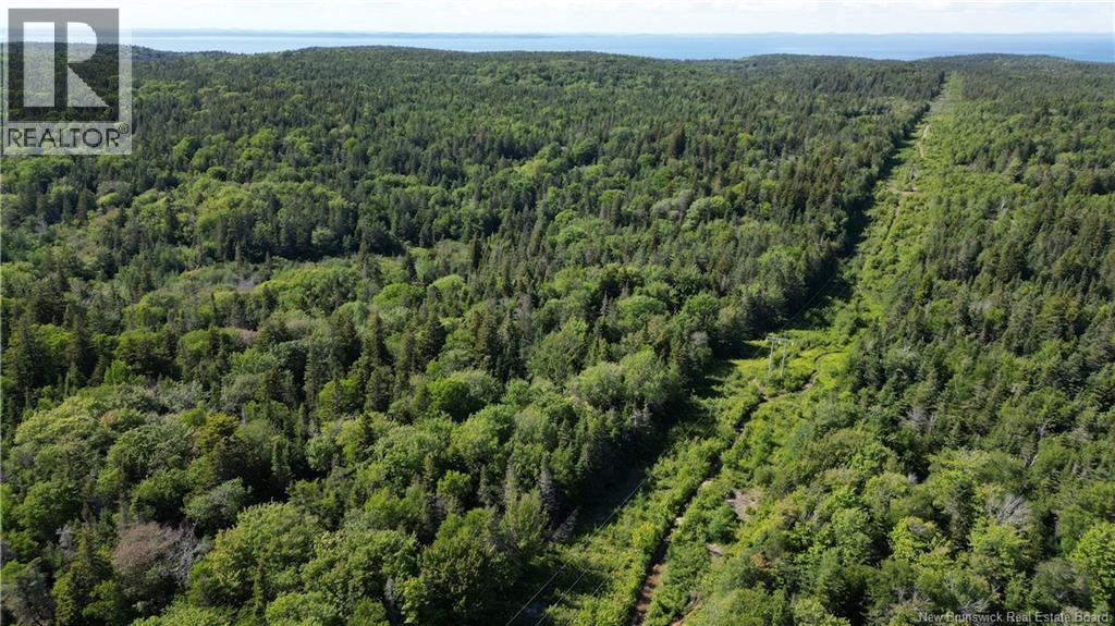 Land Stanley Brook, Grand Manan, New Brunswick  E5G 1L8 - Photo 6 - NB143148
