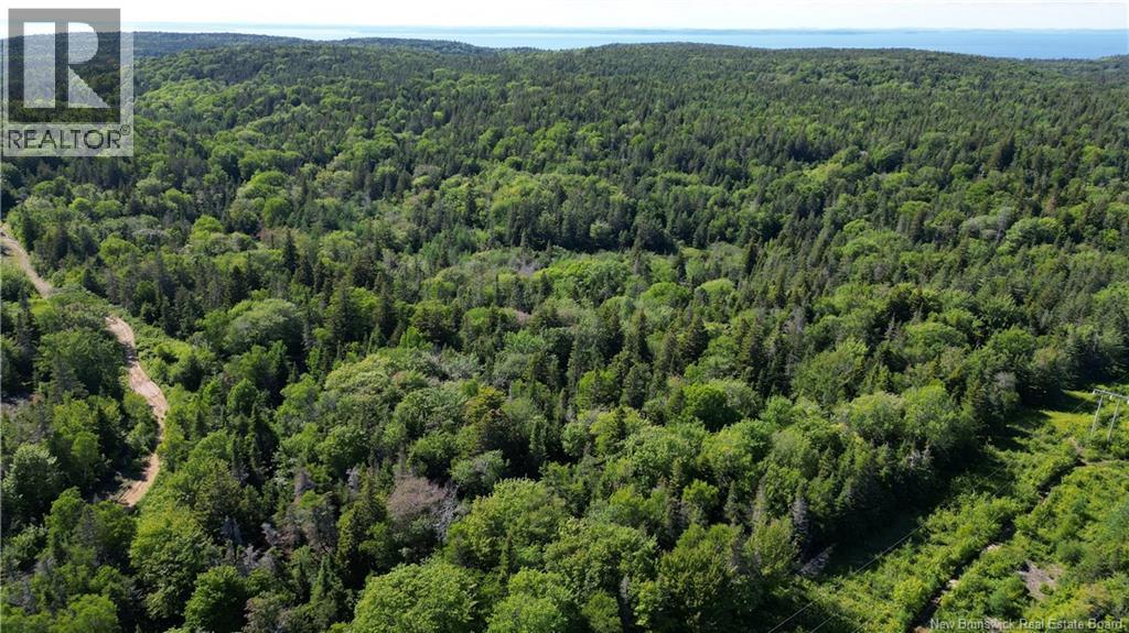 Land Stanley Brook, Grand Manan, New Brunswick  E5G 1L8 - Photo 7 - NB143148