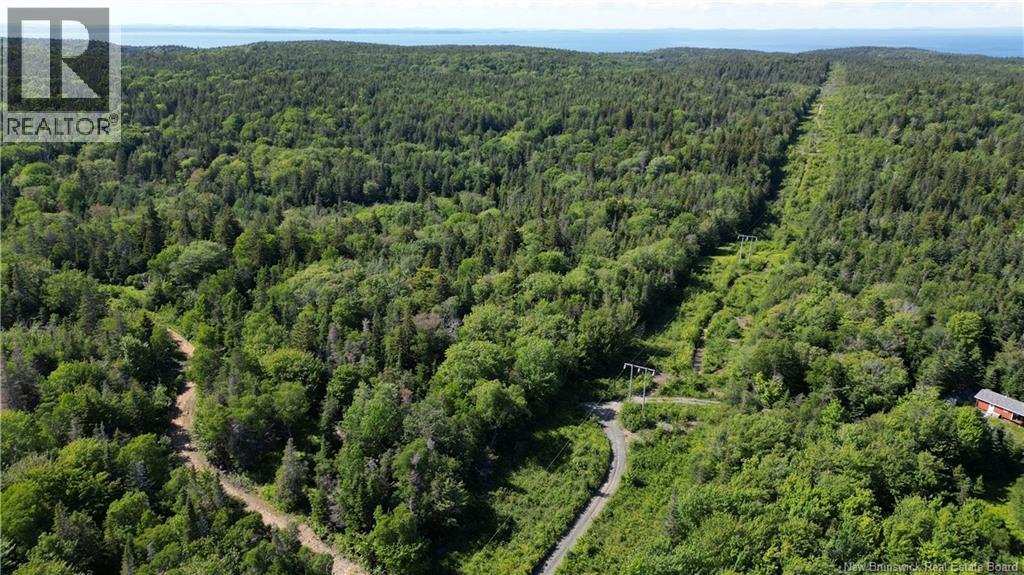 Land Stanley Brook, Grand Manan, New Brunswick  E5G 1L8 - Photo 8 - NB143148