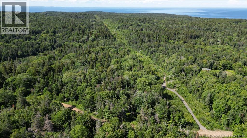 Land Stanley Brook, Grand Manan, New Brunswick  E5G 1L8 - Photo 9 - NB143148