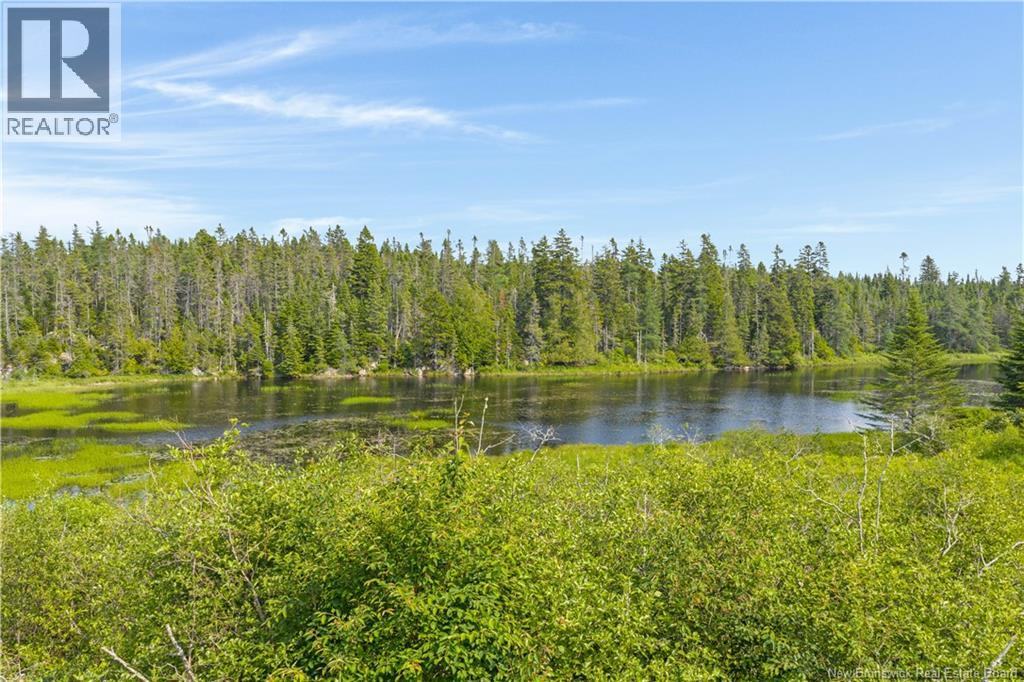 50 Sherwood Road, Prince Of Wales, New Brunswick  E5J 2K9 - Photo 44 - NB143118