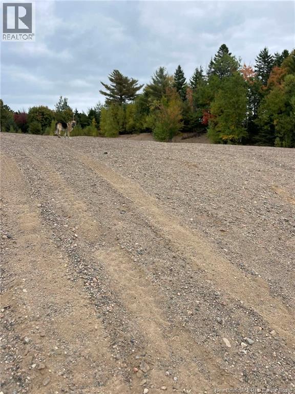 12 Beverly Lane, Grand Bay-Westfield, New Brunswick  E5K 3P6 - Photo 6 - NB143393