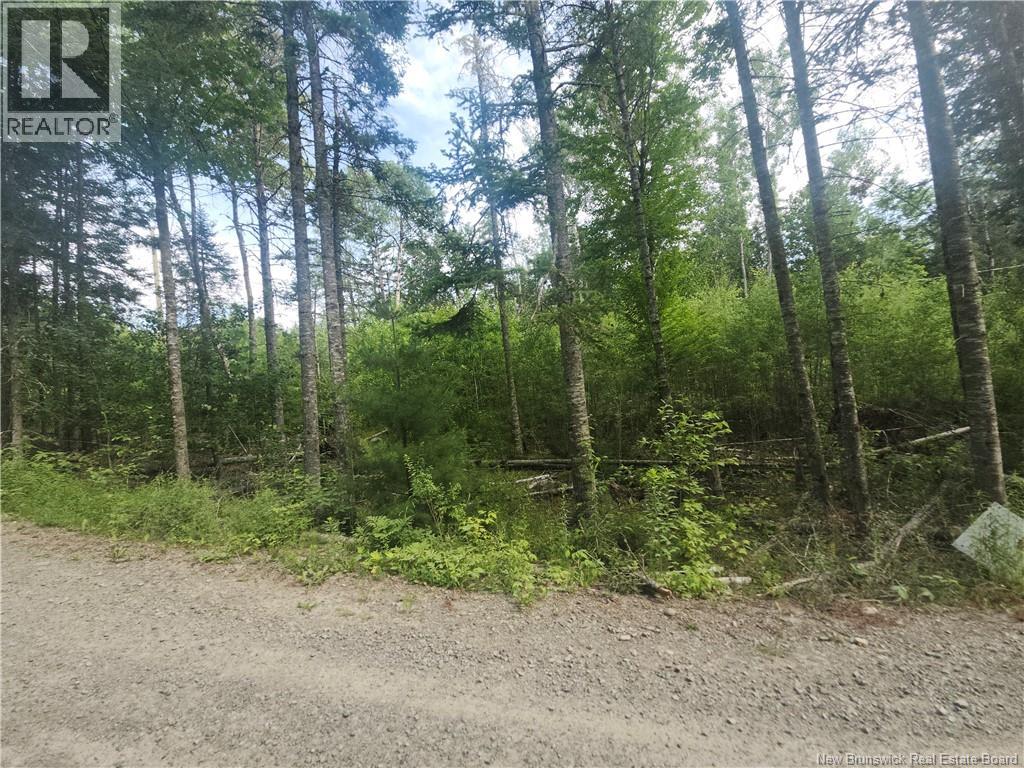 21-01 Sunset Drive, Bayside, New Brunswick E5B 2Y6 - Photo 5 - NB143551