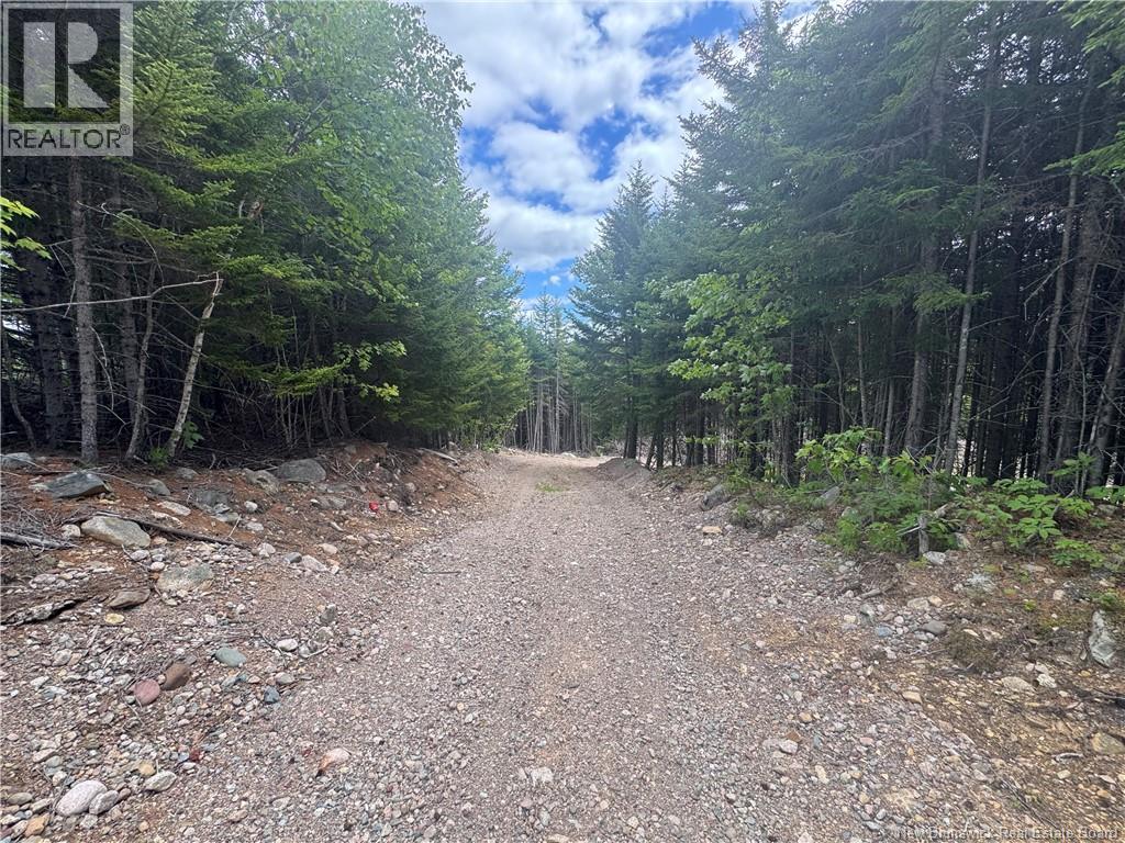 2768 Route 790, Musquash, New Brunswick  E5J 3C9 - Photo 10 - NB143752
