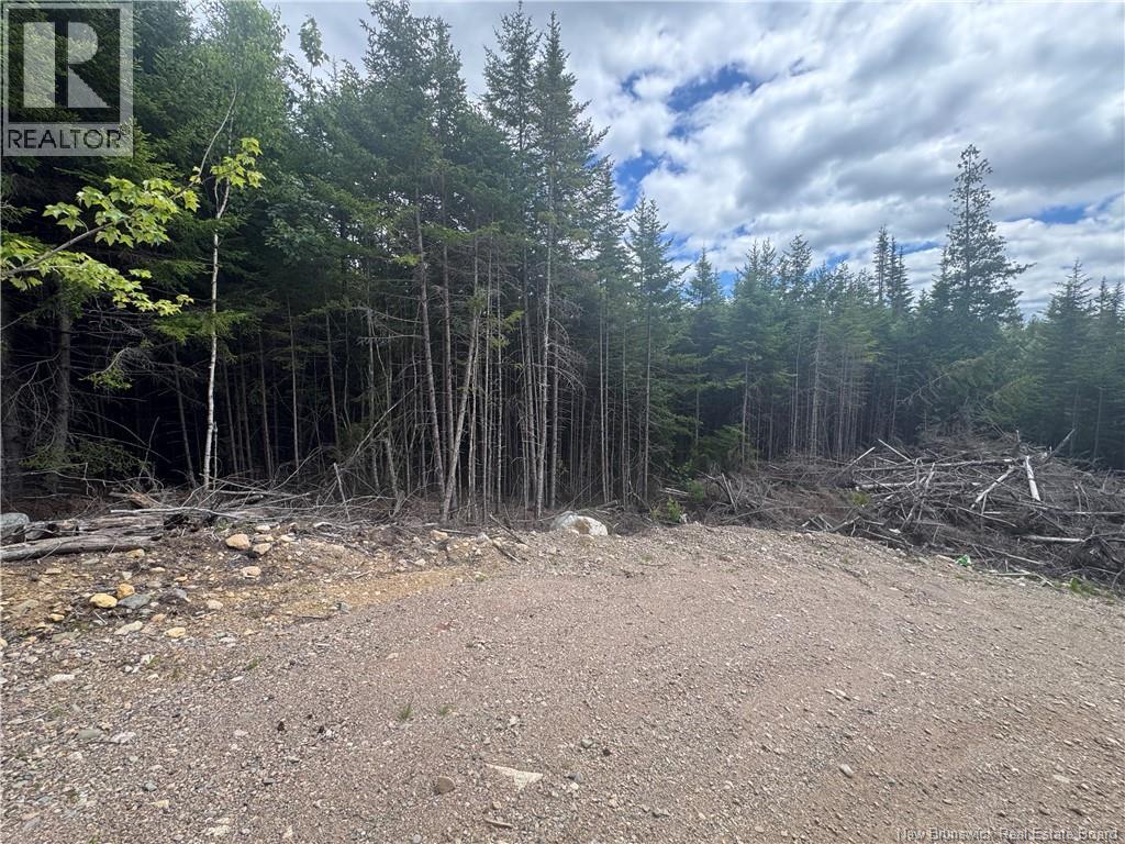 2768 Route 790, Musquash, New Brunswick  E5J 3C9 - Photo 11 - NB143752