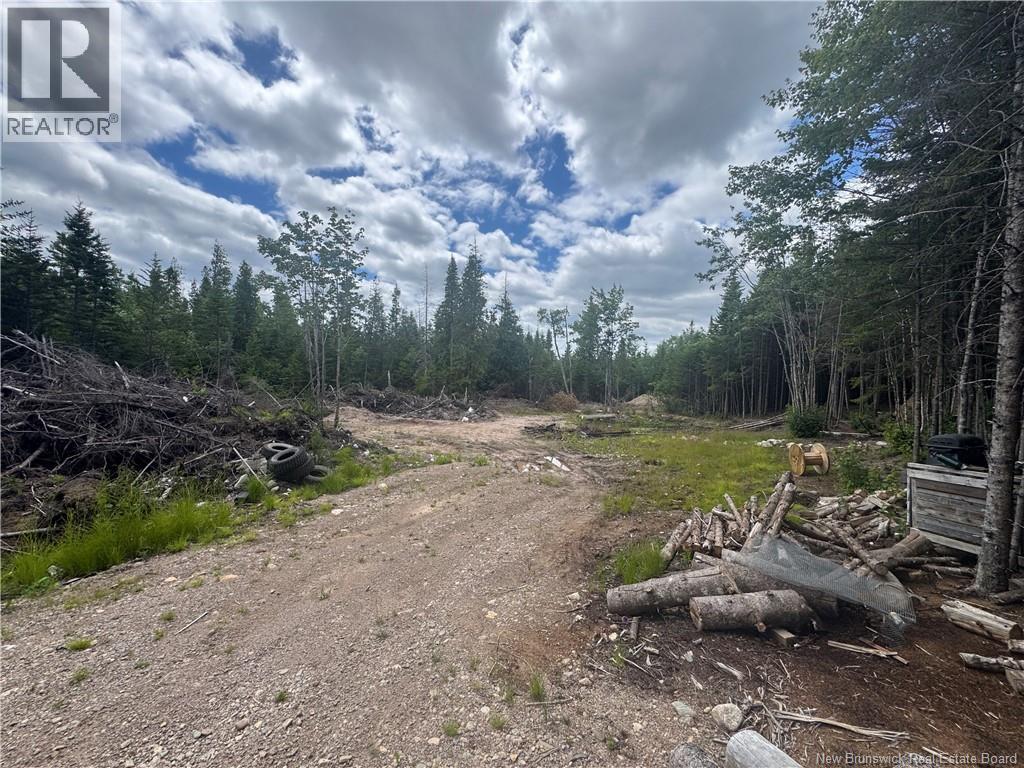 2768 Route 790, Musquash, New Brunswick  E5J 3C9 - Photo 2 - NB143752